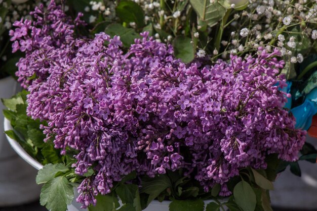 Bunt blühende Blumen in Vase