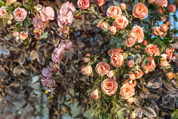 Bunt von den Plastikblumen