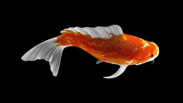 Bunte 3D-Rendering-Koi-Fische mit orangen und weißen Farbmustern und Seitenansicht