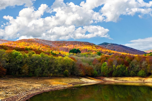 Bunte Bäume und Blätter im Herbst im Naturpark Montseny in Barcelona, Spanien.