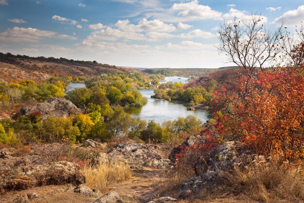 Bunte Bäume und schöner sonniger Herbsttagpanoramablick des Flusses