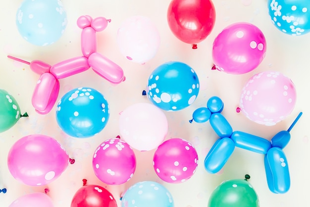 Bunte Ballons und Ballonhunde auf pastellfarbenem Hintergrund. Festliches oder Geburtstagsfeierkonzept. Flache Lage, Ansicht von oben.