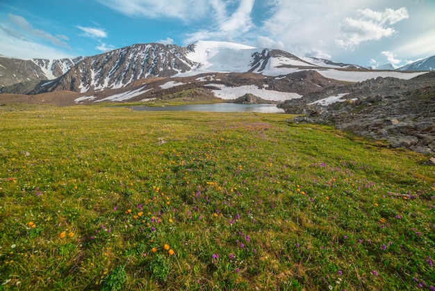 Bunte Berglandschaft mit orangefarbenen Trollius-Blumen im Hochgebirge bei strahlender Sonne Viele lebendige Blumen auf der sonnenbeschienenen bunten Blumenwiese zwischen Schneebergen unter bewölktem Himmel bei wechselhaftem Wetter