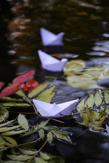 Bunte Blätter auf Wasser