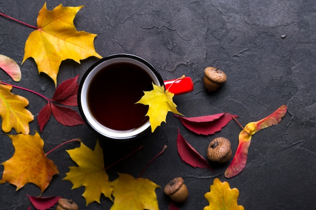 Bunte Blätter des Herbstes und rote Tasse Tee auf dunkler Betonoberfläche