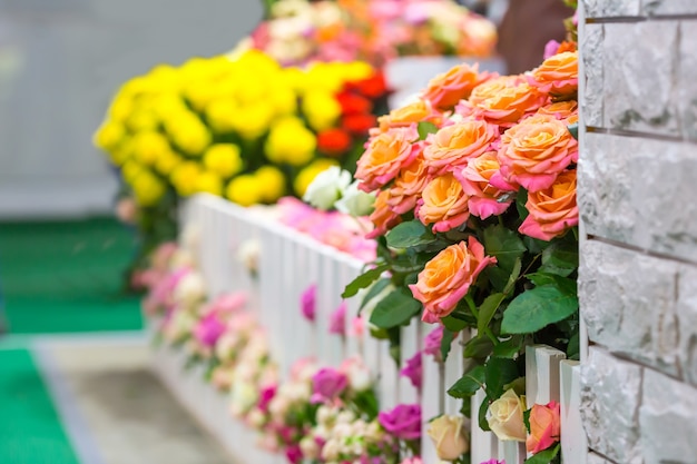 Bunte Blumen am Gartenzaun draußen