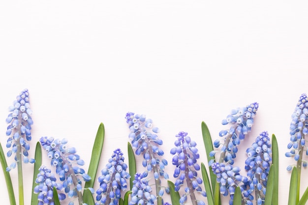 Bunte Blumen auf einem weißen Hintergrund