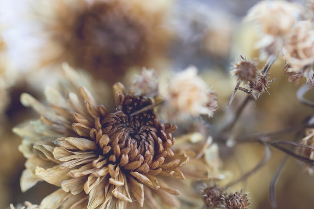 Bunte Blumen gemacht mit Steigung für Hintergrund