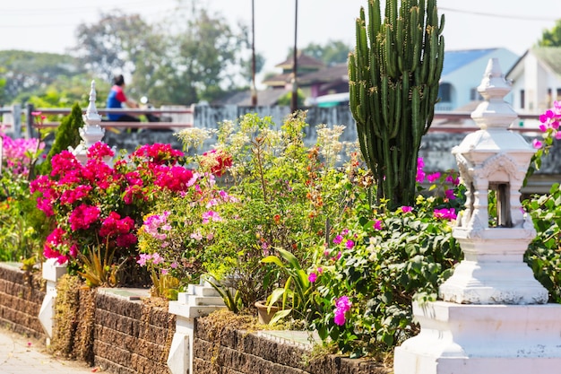 Bunte Blumen in Bougainvillea auf der Straße