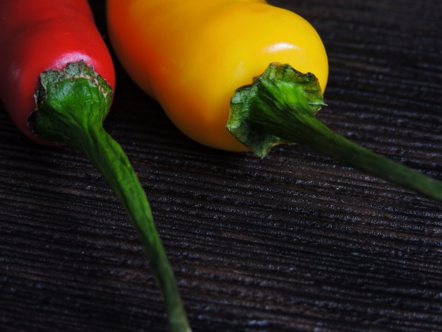 Foto bunte chilischoten.