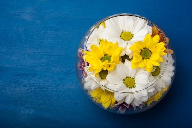 Bunte Chrysanthemen in einer Glasvase auf einem blauen Hintergrund. Speicherplatz kopieren