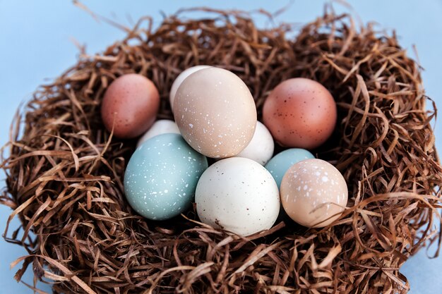 Bunte Eier der Osterferien im Nest für traditionelles Feiern