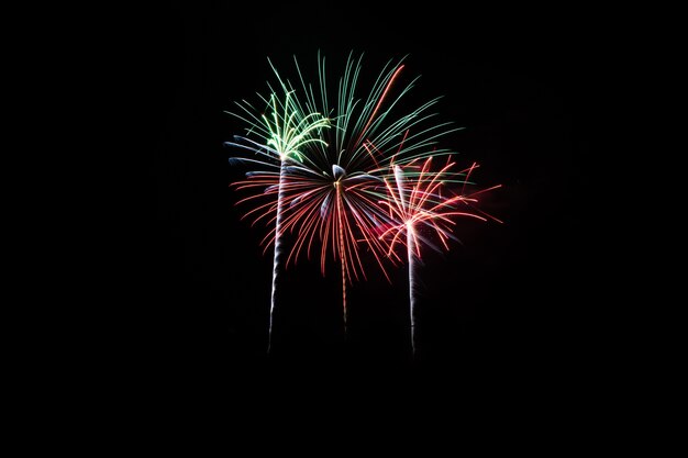 Bunte Feuerwerke über dunklem Himmel