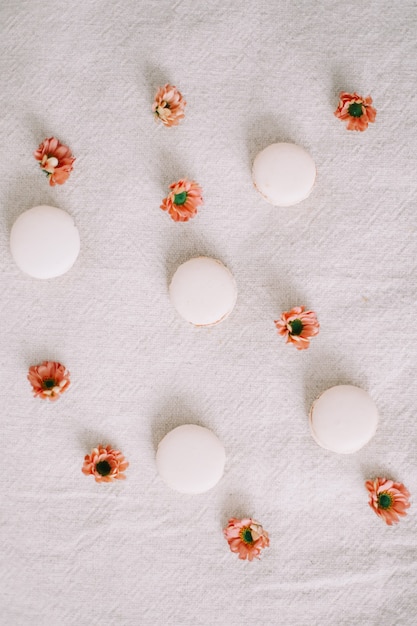 bunte französische macarons und blumen auf weißer oberfläche mit kopienraum draufsicht