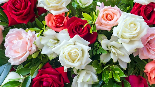 Bunte frische Rosen oder mehrfarbiger Rosenhintergrund Ein schöner Strauß Rosen zum Valentinstag