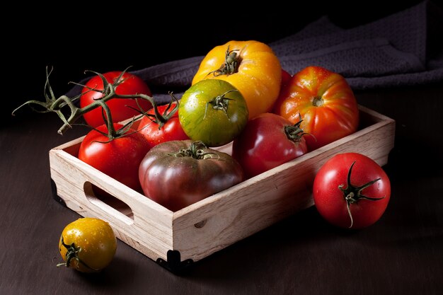 Bunte frische Tomaten