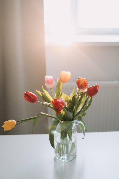 Bunte frische Tulpen auf weißem Hintergrund Valentinstag 8. März Frühling Hintergrund