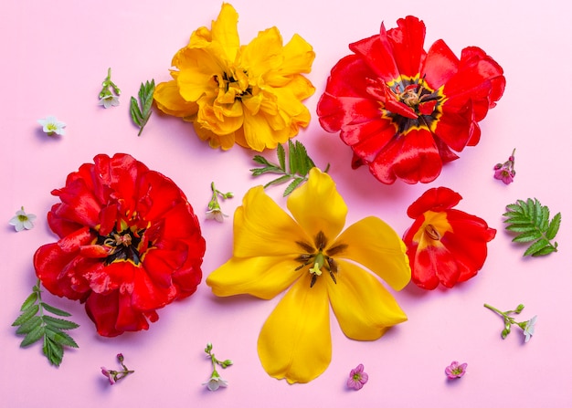 Bunte Frühlingssommermischungsblumen auf rosa Hintergrund.