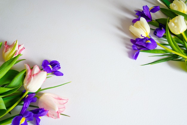 Bunte Frühlingstulpen und Irisblumen auf weißem Hintergrund