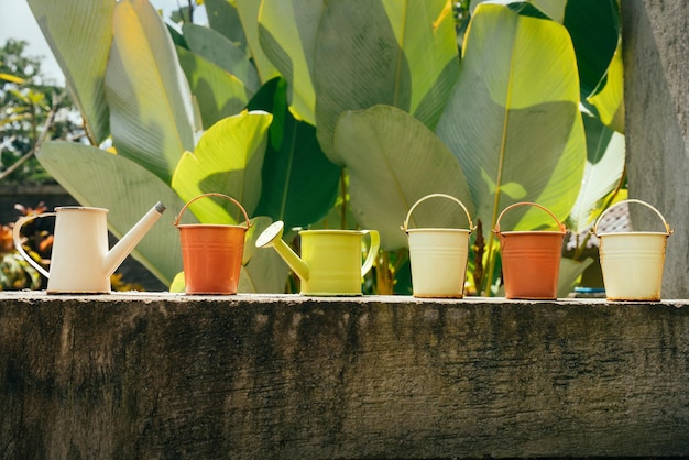 Bunte Gießkannen und Eimer für Pflanzen im Garten