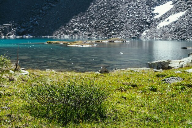 Bunte grüne Landschaft mit wilder Flora nahe Bergsee. Schöne malerische Landschaft mit sonnigem Glanz auf türkisfarbener Wasseroberfläche. Azurblauer Gletschersee im Sonnenlicht. Reflektierte Lichter am Gletschersee.
