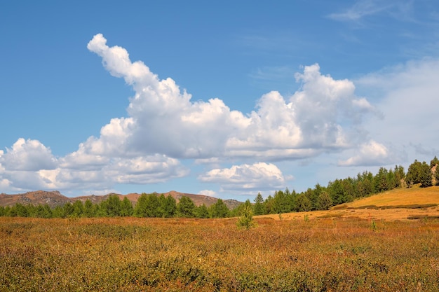 Bunte grüne Landschaft mit Zedern auf rotem Herbst diagonal felsigen Hügel im Hintergrund blauer bewölkter Himmel im Sonnenlicht Minimaler Alpenblick mit bizarren weißen Wolken Malerischer Alpenblick
