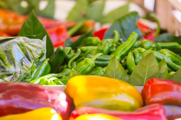 Bunte grüne, rote und gelbe Paprika