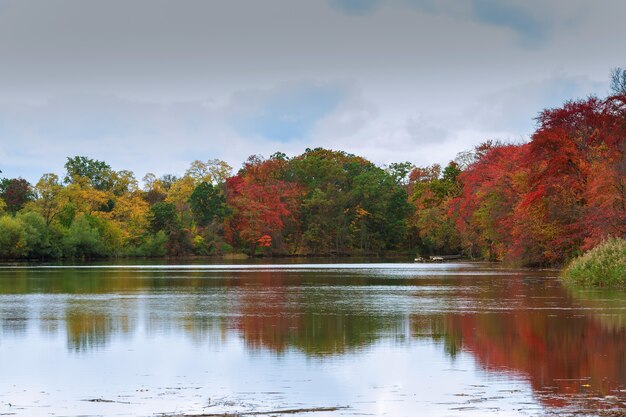 Bunte Herbstbäume am See