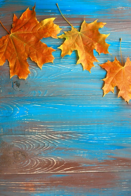 Bunte Herbstblätter auf blauem und braunem Holzhintergrund