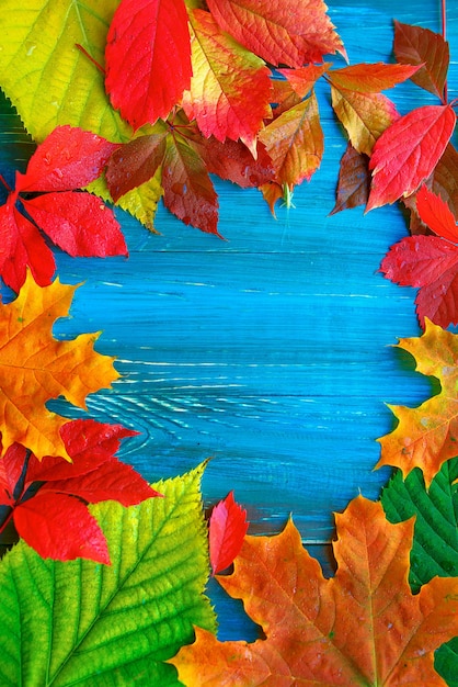 Bunte Herbstblätter auf blauem und braunem Holzhintergrund