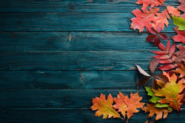 Bunte Herbstblätter liegen flach auf blauem Holzhintergrund Draufsicht Freier Platz für Ihren Text