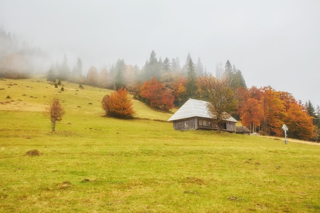 Bunte Herbstlandschaft im Bergdorf Nebliger Morgen in den Karpaten