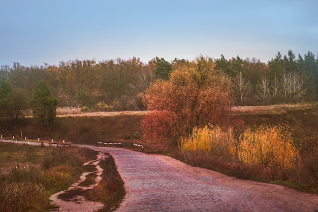 Bunte Herbstlandschaft im Dorf