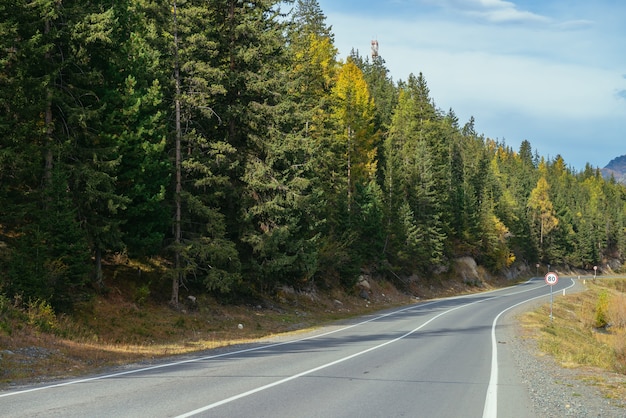 Bunte Herbstlandschaft mit Lärchen mit gelben Ästen entlang der Bergstraße. Nadelwald mit gelben Lärchenbäumen entlang der Bergstraße in Herbstfarben. Autobahn in den Bergen im Herbst.