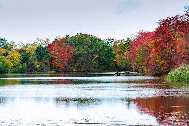 Bunte Herbstwaldsee-Fluss-Himmelwolken Herbstsee-Himmelwolke