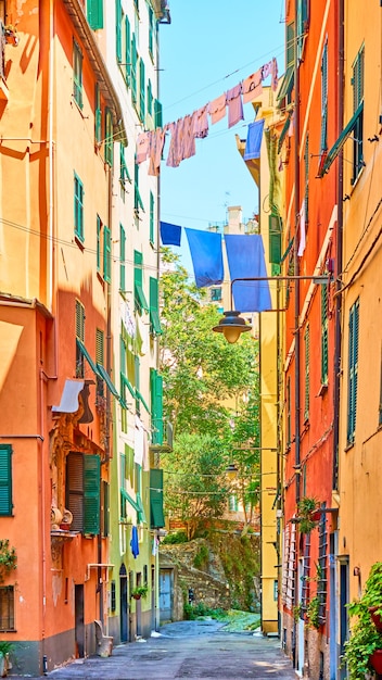 Bunte italienische Straße mit trocknender Wäsche an sonnigen Sommertagen in Genua/Genova, Italien