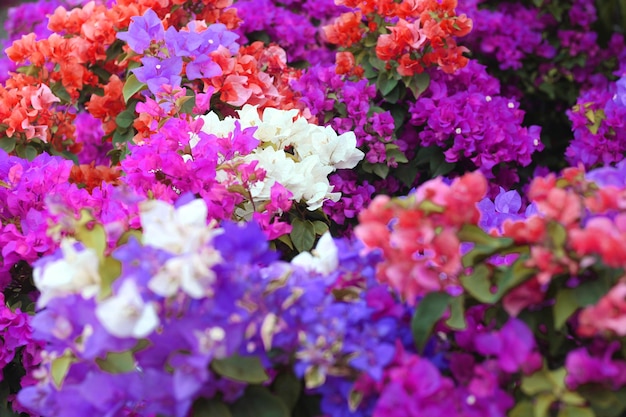 Bunte Konfetti rosa gelb weiß als Tapete verwenden