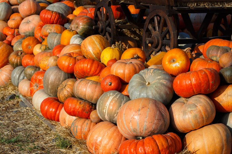 Bunte Kürbissammlung auf dem Herbstmarkt im Freien.