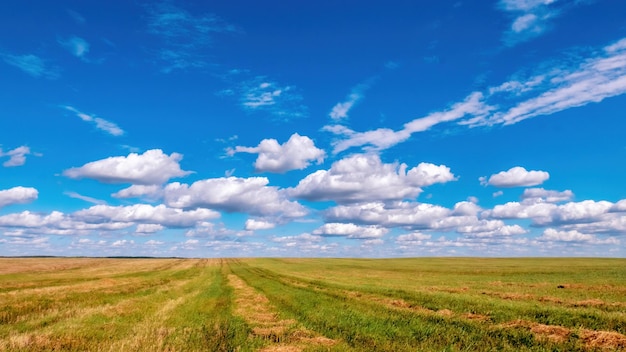 Bunte Kumuluswolken in einem strahlend blauen Himmel über frisch gemähtem Feld, das sich über den Horizont hinaus erstreckt