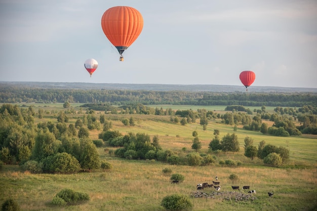 Bunte Luftballons fliegen über das Feld und Tiere mit Wärmetechnologie