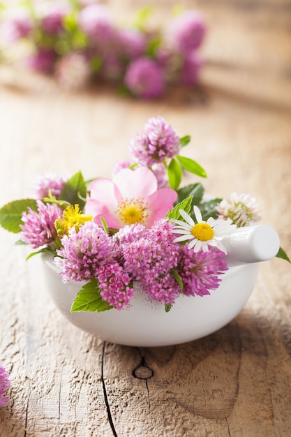 Bunte medizinische Blumen und Kräuter im Mörtel