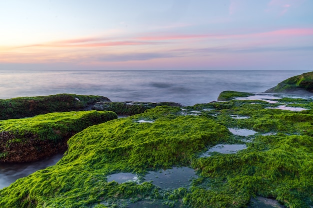 Bunte Meeresküste mit Grünalgen mit Langzeitbelichtung Wasser bei Sonnenuntergang