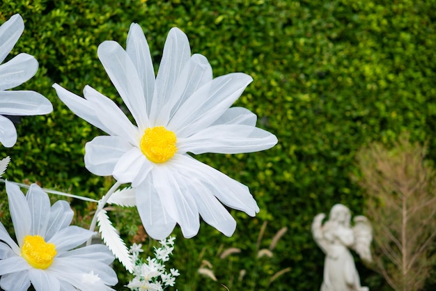 Bunte Natur des schönen Blumenhintergrundes