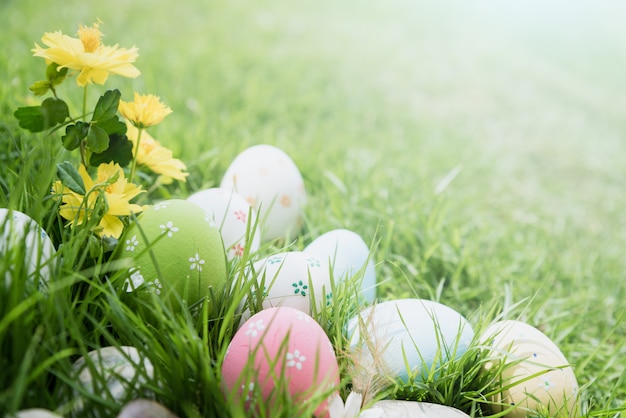 Bunte Ostereier der Nahaufnahme im Nest auf grüner Rasenfläche während des Sonnenunterganghintergrundes.