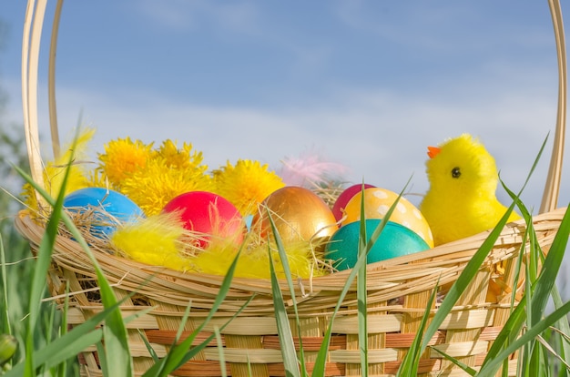 Bunte Ostereier in einem Korb mit einem Huhn im Gras gegen einen blauen Himmel mit Kopienraum