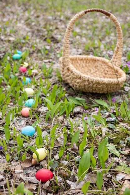 Bunte Ostereier versteckt im Gras im Garten neben einem leeren Korb