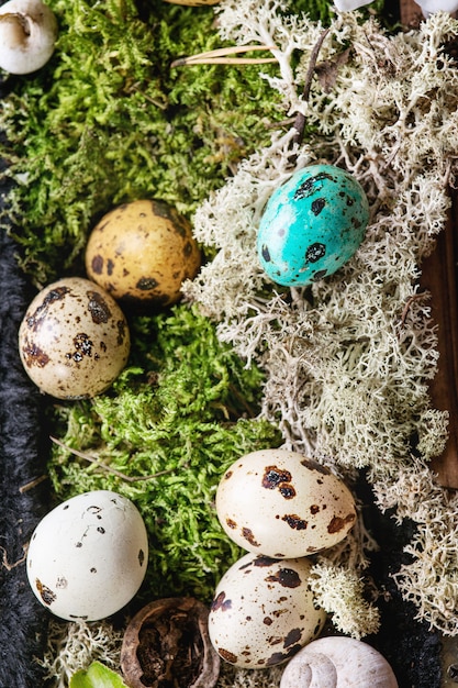 Bunte Ostern-Wachteleier