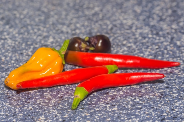 Bunte scharfe Chilis aus dem Garten