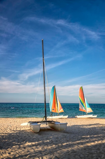 Bunte Segelkatamarane am Strand Das tropische Urlaubsgebiet mit den schönsten Stränden