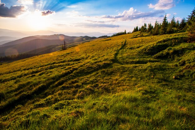 Bunte Sommerlandschaft